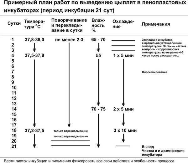 Факторы, влияющие на поддержание требуемой температуры в инкубаторе