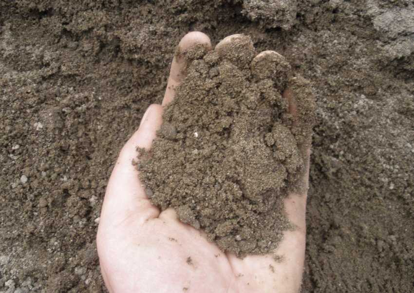 Плодородность почвы для клубники