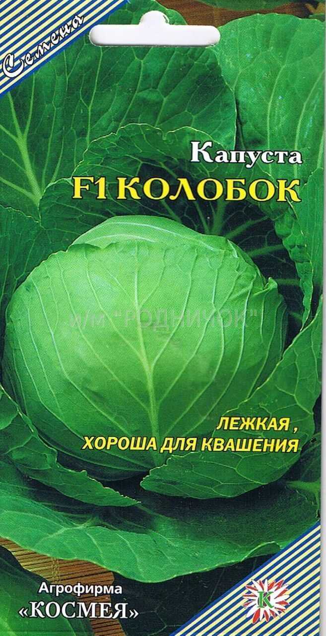 Советы по хранению и использованию капусты Колобок