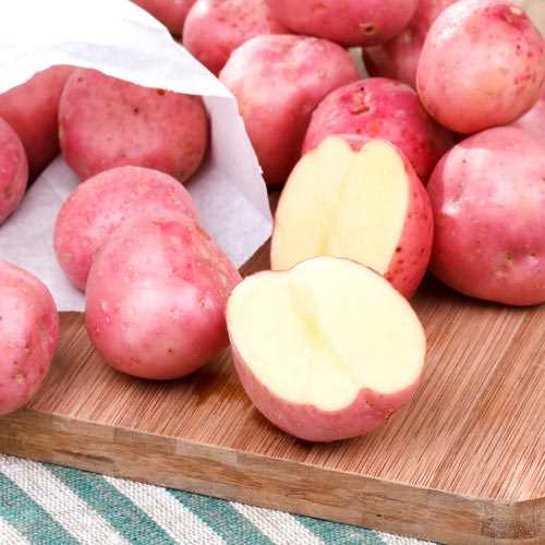 Применение картофеля Альвара