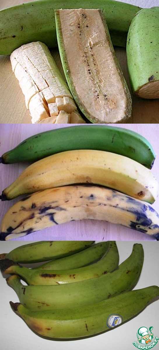 Агротехника выращивания картофеля Банан