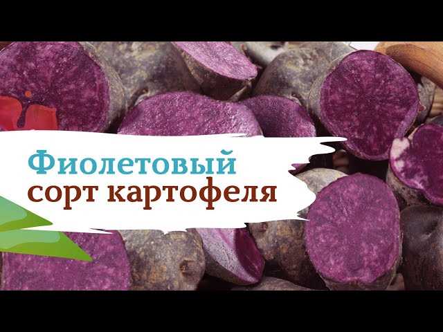 Органическое происхождение