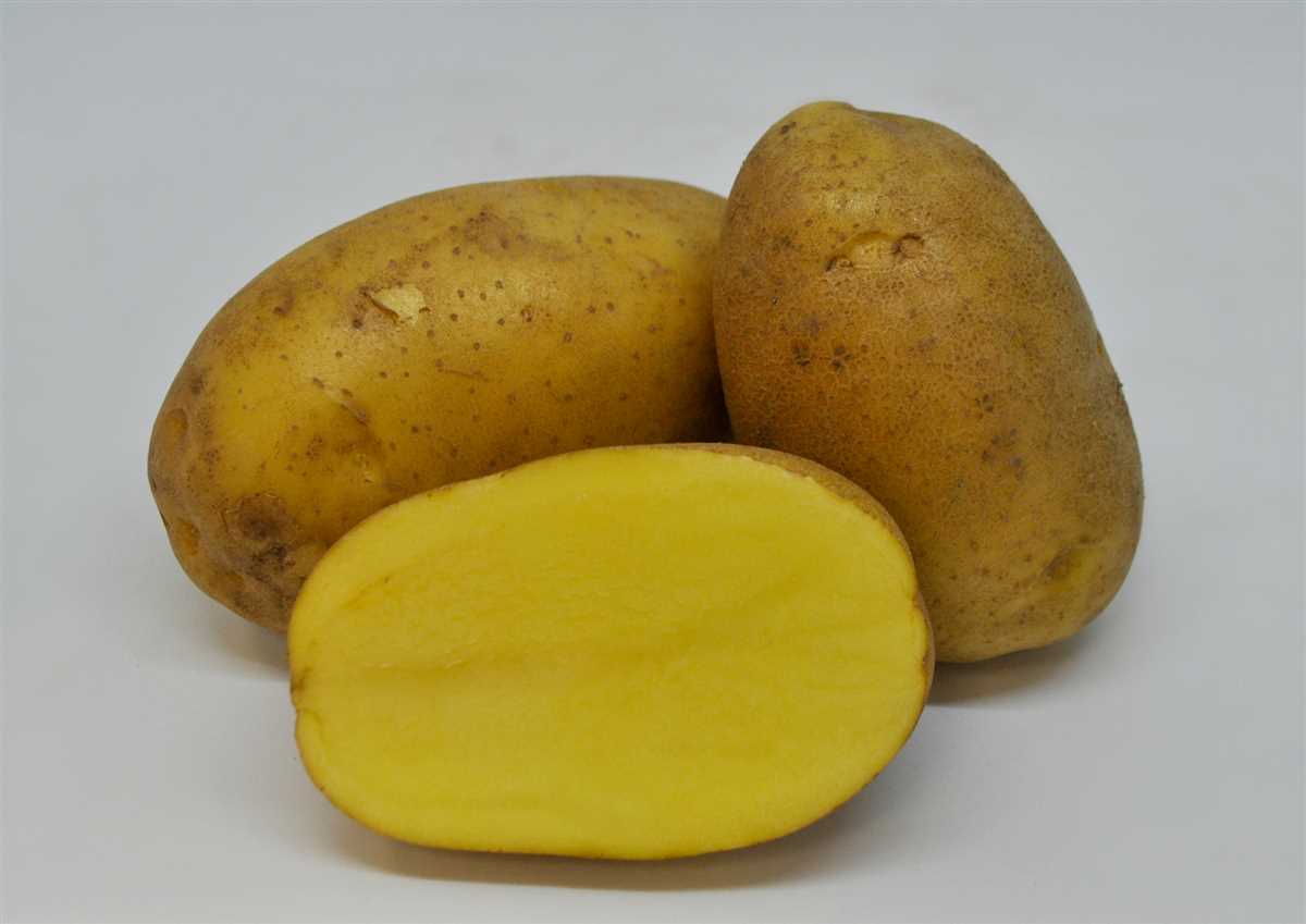 Восхитительные свойства картофеля Эстрелла