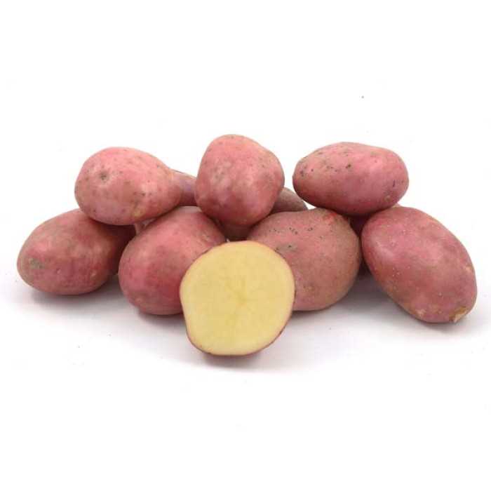 Картофель в пищевой культуре