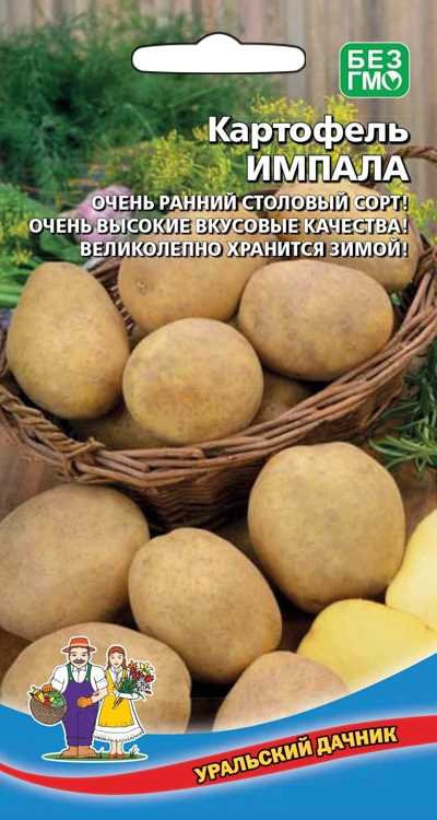 История появления Картофеля Импала