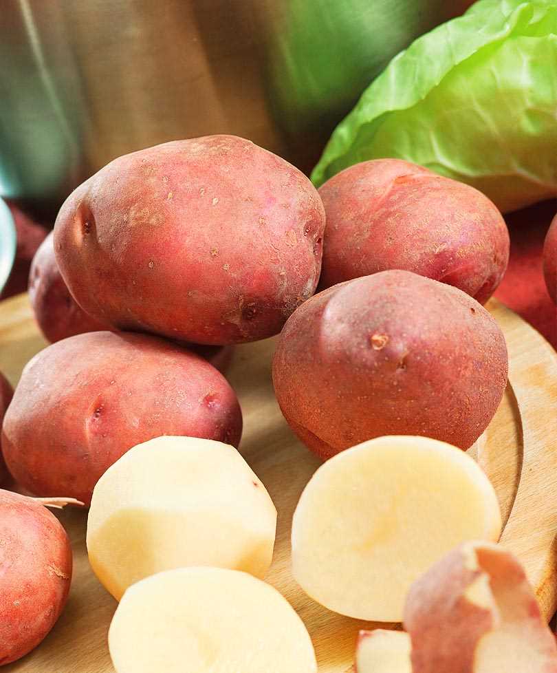 Сорт картофеля Ирбитский: особенности и описание
