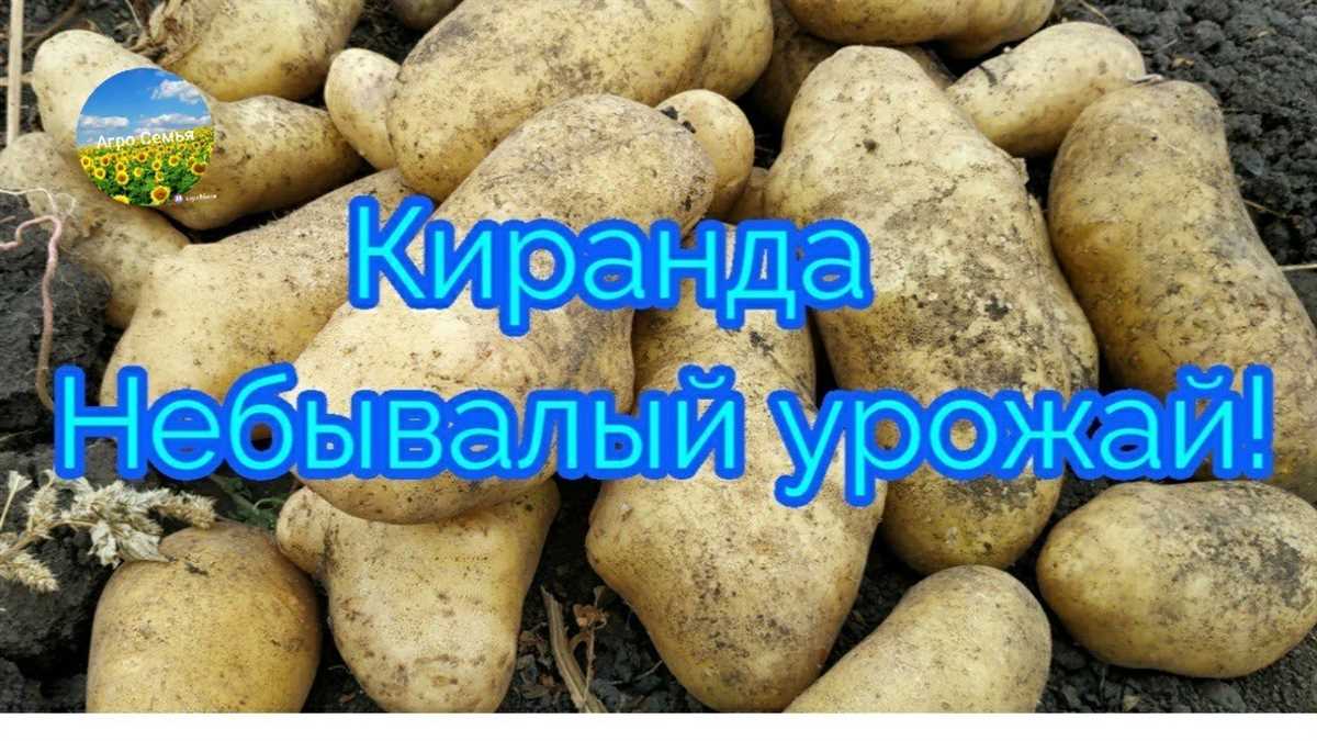 Полезные свойства и применение