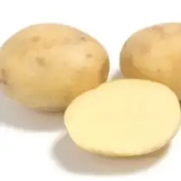 Если вы решили окунуться в удивительный мир разнообразия картофеля, то Картофель Коломба - это именно то, что стоит попробовать. Он удивит вас своей уникальностью и потрясающими свойствами, которые полностью соответствуют его экзотическому внешнему виду.