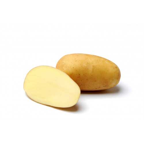 Характеристики и особенности картофеля 