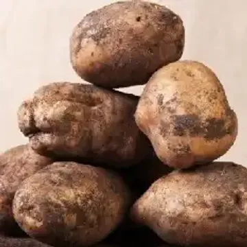 Картофельное пюре с картофелем Лорх