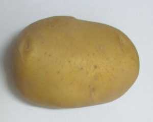 Разнообразие сортов картофеля Нара