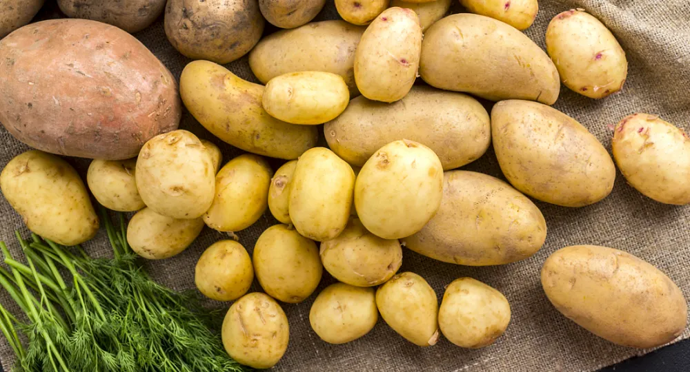 Однако, картофель Наяда известен не только своим великолепным вкусом и универсальностью в кухне. Этот овощ богат витаминами и микроэлементами, такими как калий, магний, фолиевая кислота и витамин С. Эти питательные вещества оказывают положительное влияние на здоровье сердечно-сосудистой, иммунной и нервной систем. Благодаря низкому содержанию жира и холестерина, картофель Наяда входит в список продуктов диетического питания, являясь неотъемлемой частью похудательных программ и рационов здорового питания.