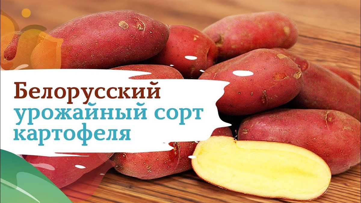 Преимущества и польза для здоровья