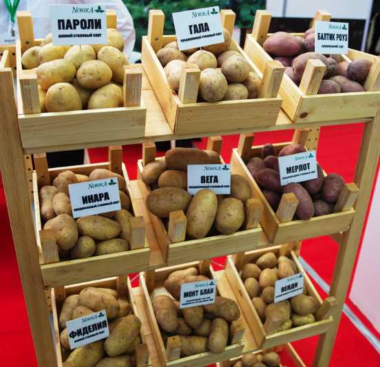 Преимущества картофеля Пароли