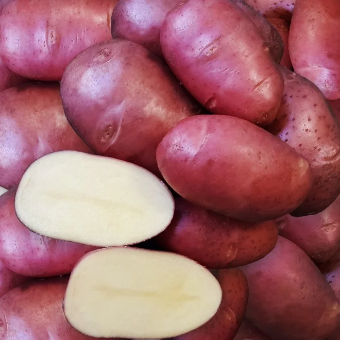 Преимущества картофеля Тайфун: