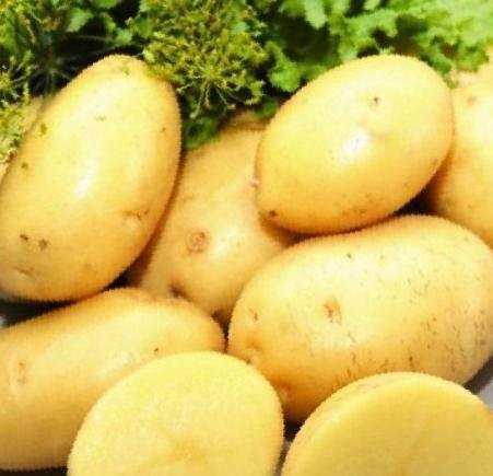 Основным отличием картофеля 