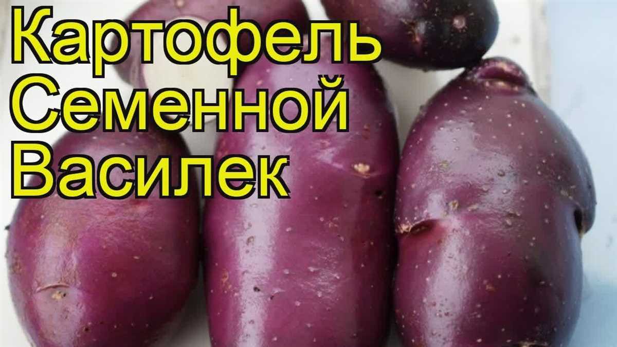 Преимущества картофеля Василек