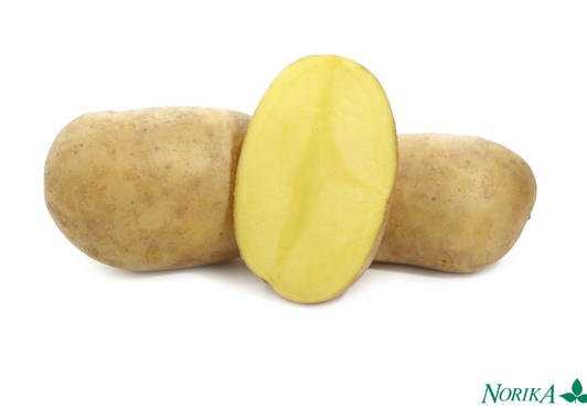 Жареный картофель Венди