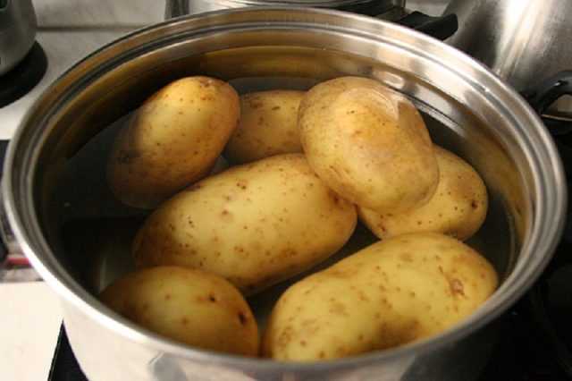 Преимущества картофеля Венди