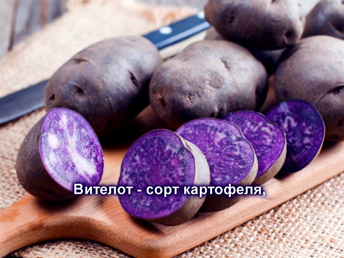 Применение Картофеля Вителот