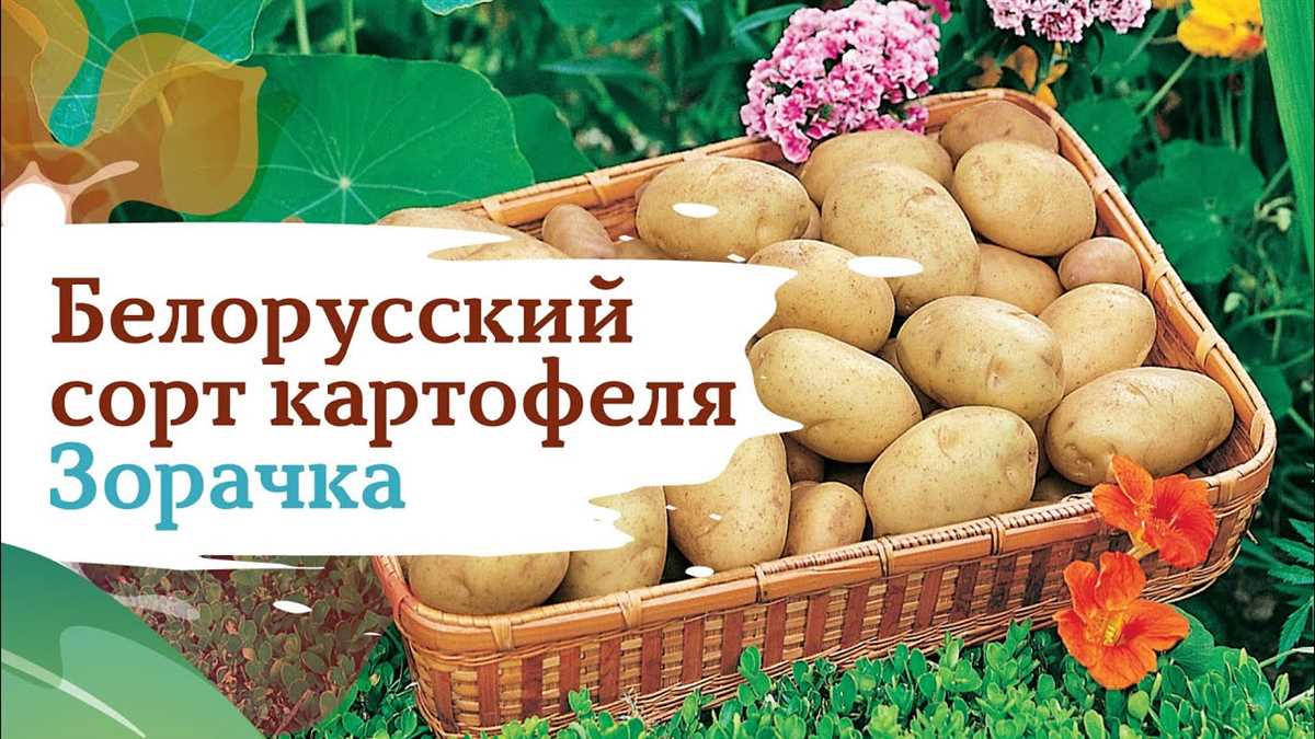 3. Высокие вкусовые качества