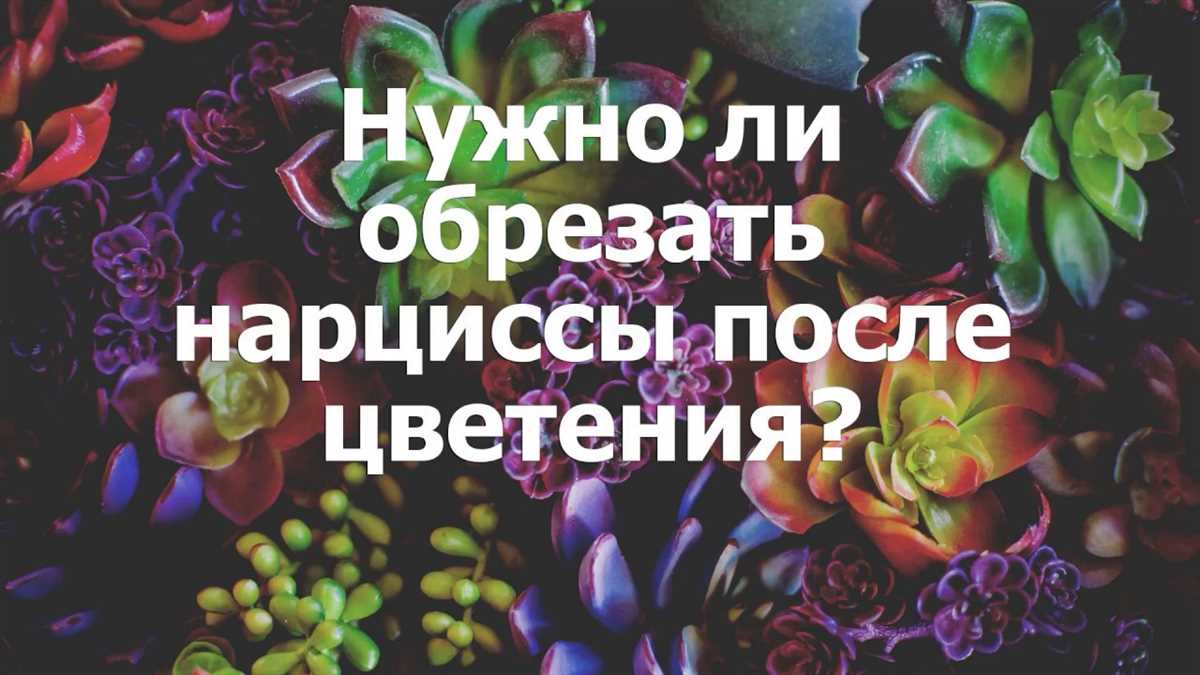 Шаг 1: Подождите, пока цветонос полностью высохнет