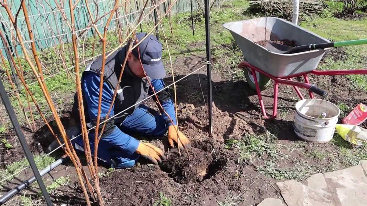 Правильное время для пересадки