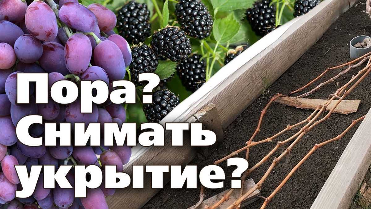 Распределение урожая