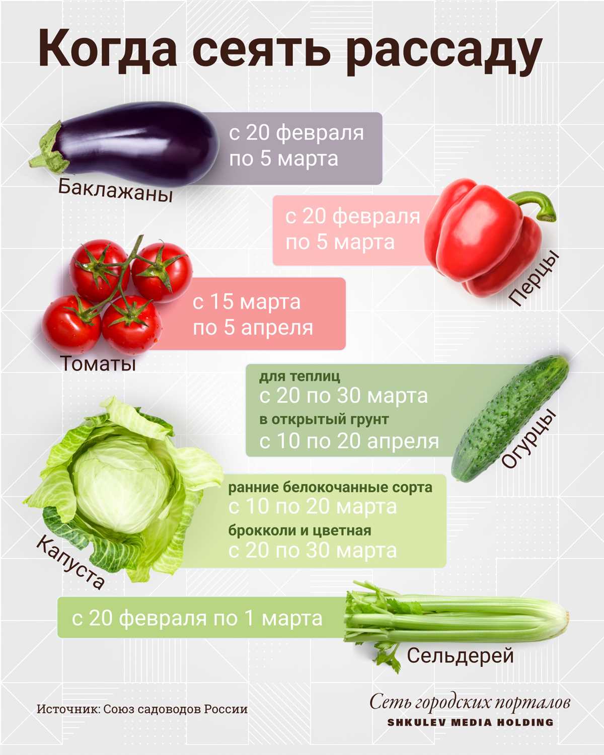 Температурные условия для выращивания рассады