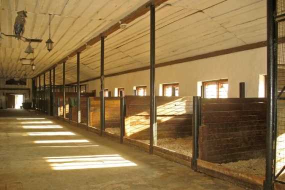 Индивидуальные комнаты для лошадей