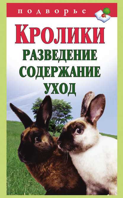 Кролики шиншилла: питание и рацион
