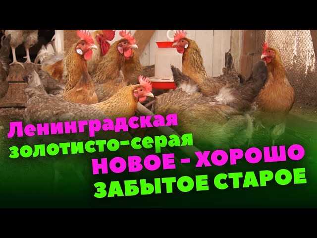 Болезни и профилактика