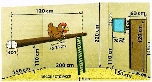 Советы по обустройству курятника