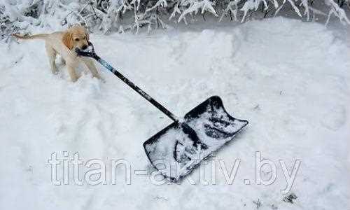 Советы по выбору лопаты для уборки снега: что нужно учитывать при выборе