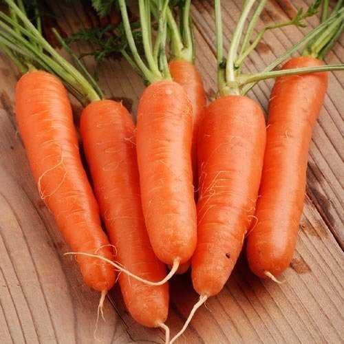 1. Морковь 