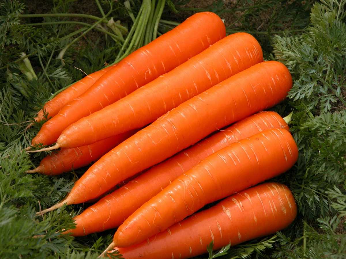 2. Морковь 