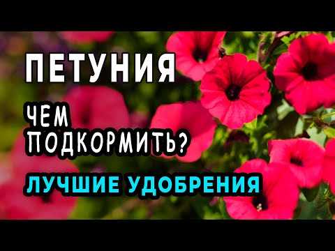 2. Форма удобрения: