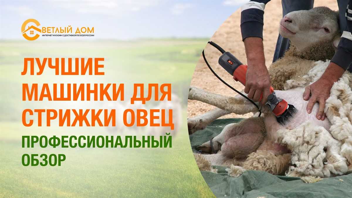 Виды машинок для стрижки овец