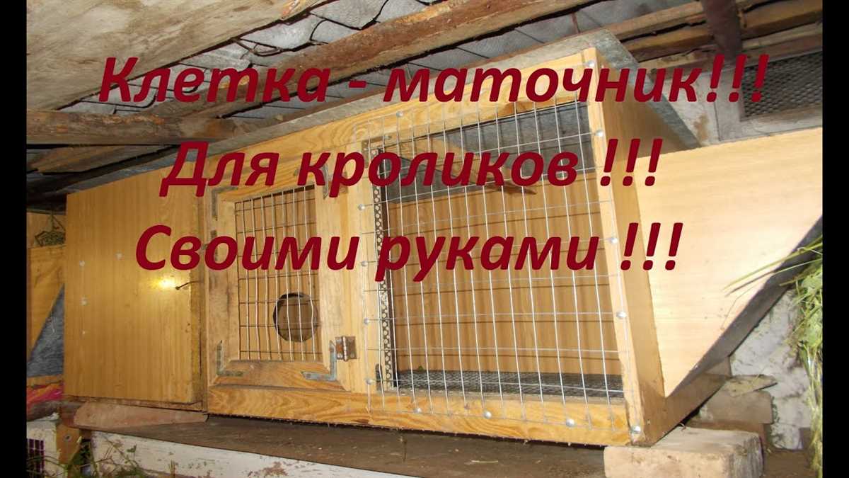 1. Учтите климатические условия