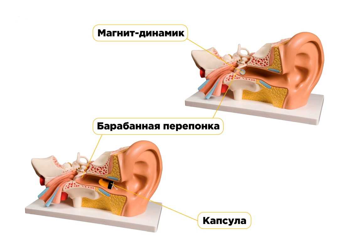 Шаг 1: Подключение и настройка микронаушника