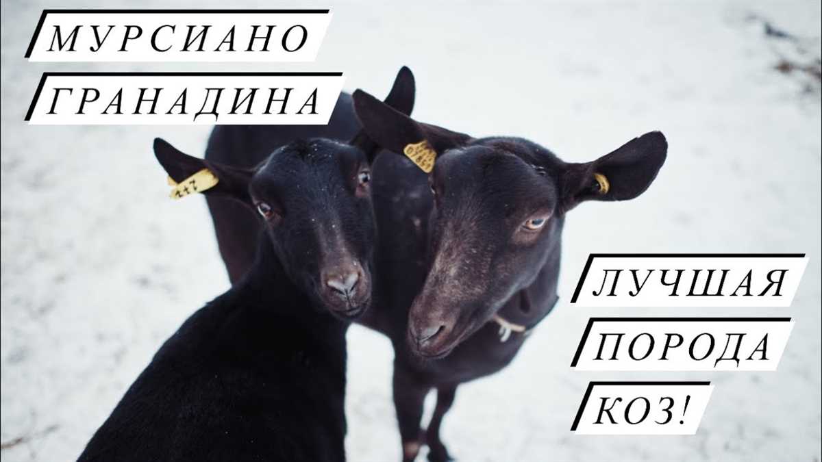 Питание: