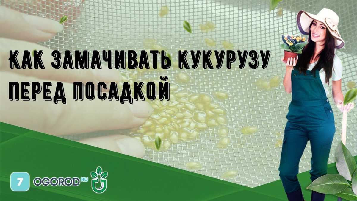 Стимуляция роста корневой системы