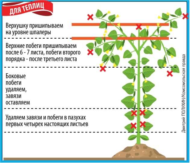 2. Заливной полив