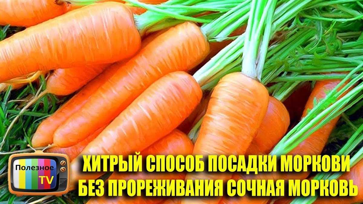 Рыхление и прополка