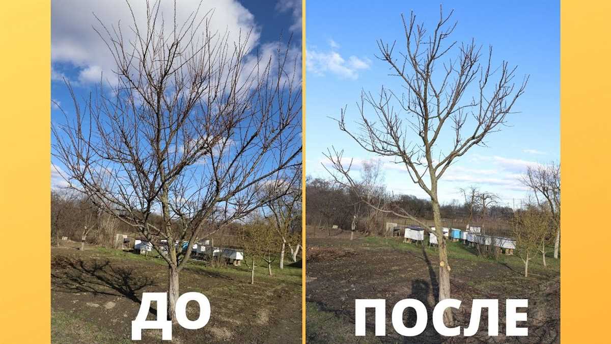 Стимуляция роста