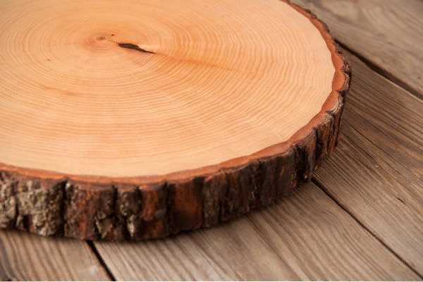 Прочность древесины