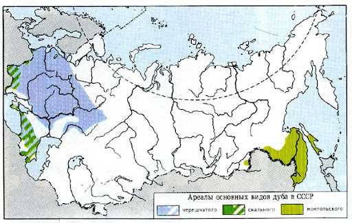 Климатические условия