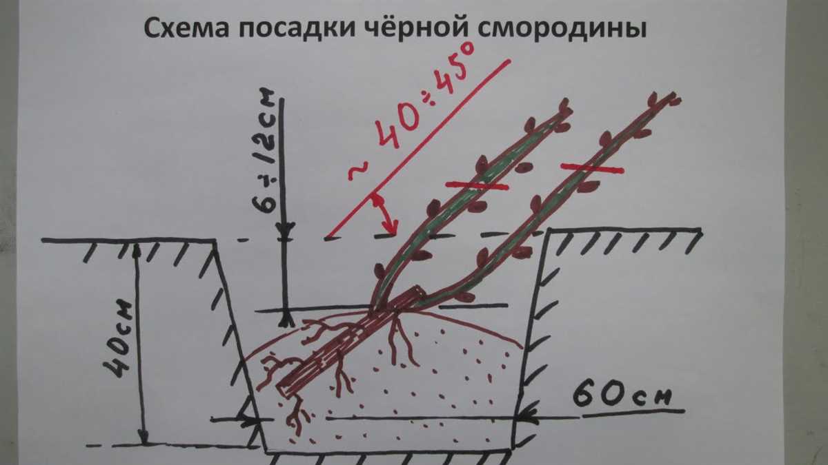 Необходимые условия для посадки