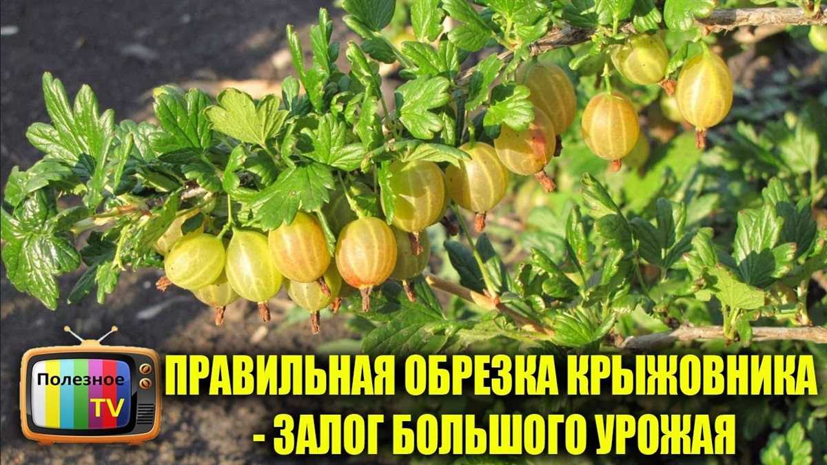 Ошибка 1: Превышение глубины обрезки