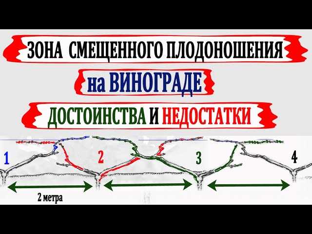 Процесс обрезки и обработки почвы